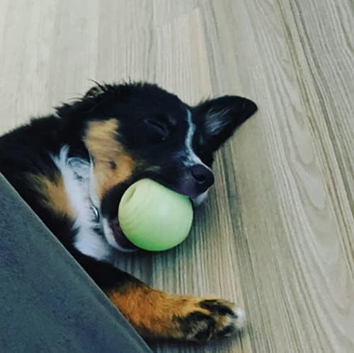 Chew King 2 Piece Glowing Fetch Ball