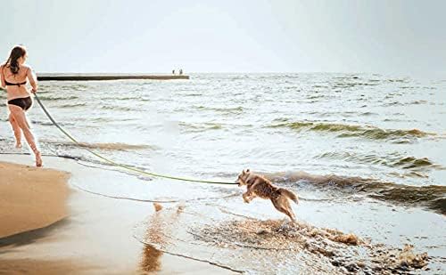 PETGOGO 15ft 20ft 30ft 40ft 50ft Long Dog/Puppy Lead Obedience Recall Training Dog Leashes for Small Medium Dogs Camping, Training, Play, or Backyard (50 FT, Orange)