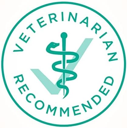 Purina ONE Sensitive Stomach, Sensitive Skin, Natural Dry Cat Food, +Plus Sensitive Skin and Stomach Formula - 22 lb. Bag