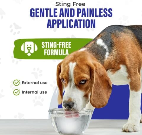 Colloidal Silver for Dogs & Cat Wound Care, Immune Support & Skin Solution - All Pet Health Care for Itch, Sores, Wounds, Hotspots & More with Syringe (32 oz)