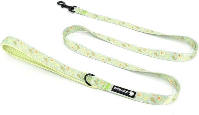 Dog Harness and Leash Set, Adjustable Dog Harness, Dog Leash, No Pull No Choke Puppy Harnesses for Walking Training for Small Medium Pet