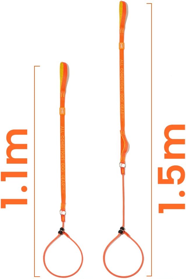 Howgo Dog Slip Lead Dog Leash, Training Lead, No-Pull Slip Leash and Collar, Heavy Duty & Durable Nylon, Padded Handle, for All Breeds (Orange, 3.6FT)