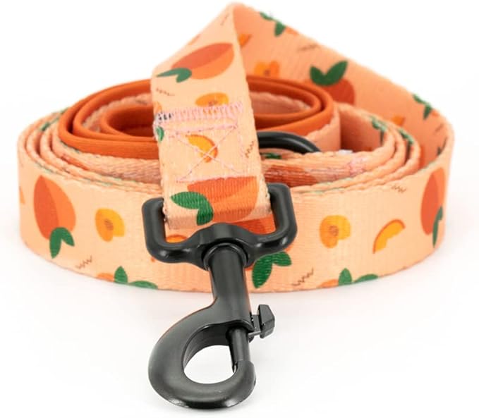 Dog Harness and Leash Set, Adjustable Dog Harness, Dog Leash, No Pull No Choke Puppy Harnesses for Walking Training for Small Medium Pet