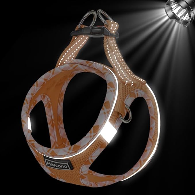 Mercano Soft Mesh Dog Harness and Leash Set, No-Chock Step-in Reflective Breathable Lightweight Easy Walk Vest Harnesses with Safety Buckle for Small Dogs, Cats (Orange, M)