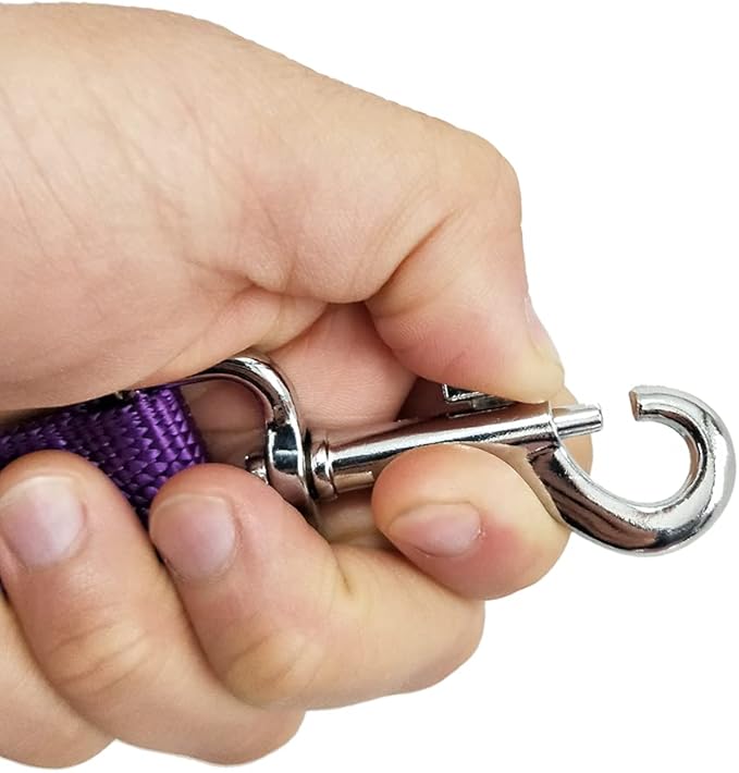 Nylon Dog Leash with 2-Layer, 4 FT/ 6 FT/ 7FT Long, 1 Inch Wide for Medium Large Dogs