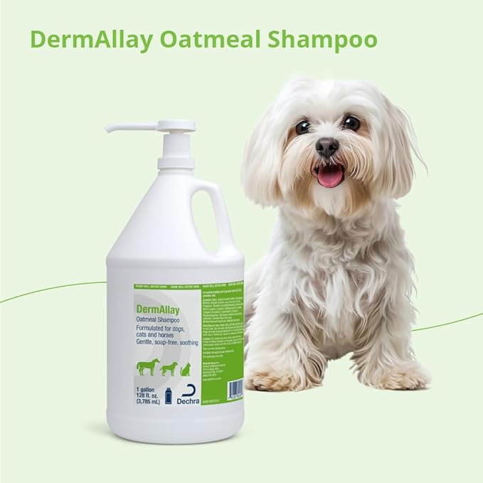 Oatmeal Shampoo for Dogs, Cats and Horses, 1 Gallon