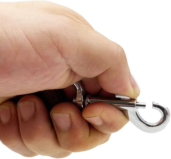 TAIDA Strong Nylon 16 Feet Long Dog Leash, 16 Foot Dog Leashes for Medium Large Dogs, 1 Inch Wide