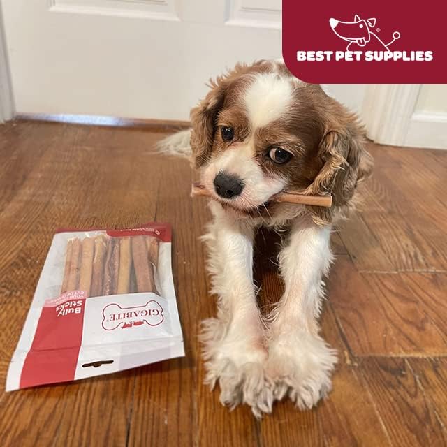 GigaBite Single Ingredient All Natural Free Range Bully Treats and Chews - Bully Sticks/Bladder Sticks/Beef Esophagus by Best Pet Supplies - Bully Sticks (Premium 6"), Pack of 8