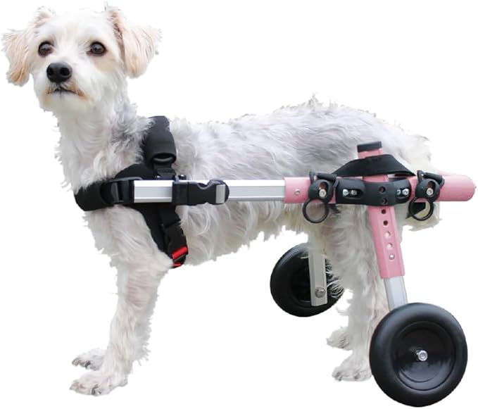 Walkin' Wheels Small Dog Wheelchair, Lightweight Dog Wheelchair for Back Legs, 11-14 lbs, for 9-13 inches Leg Height - Pink