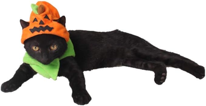 ANIAC Pet Halloween Costume Cat Pumpkin Hat with Scarf Halloween Cat Outfit Funny Kitten Outfit Small Dog Pumpkin Costume for Cats Dog Orange