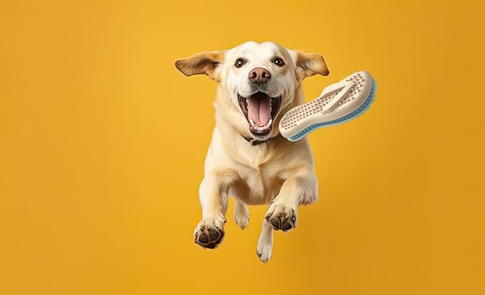 Gnaw Guard Squeaky Toy, Flip Flop