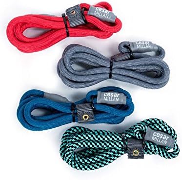 Cesar Millan Slip Lead Leash™ - Slip Collar Training Lead Gives You Greater Control and The Ability to Make Quick and Gentle Corrections (Large, Grey)