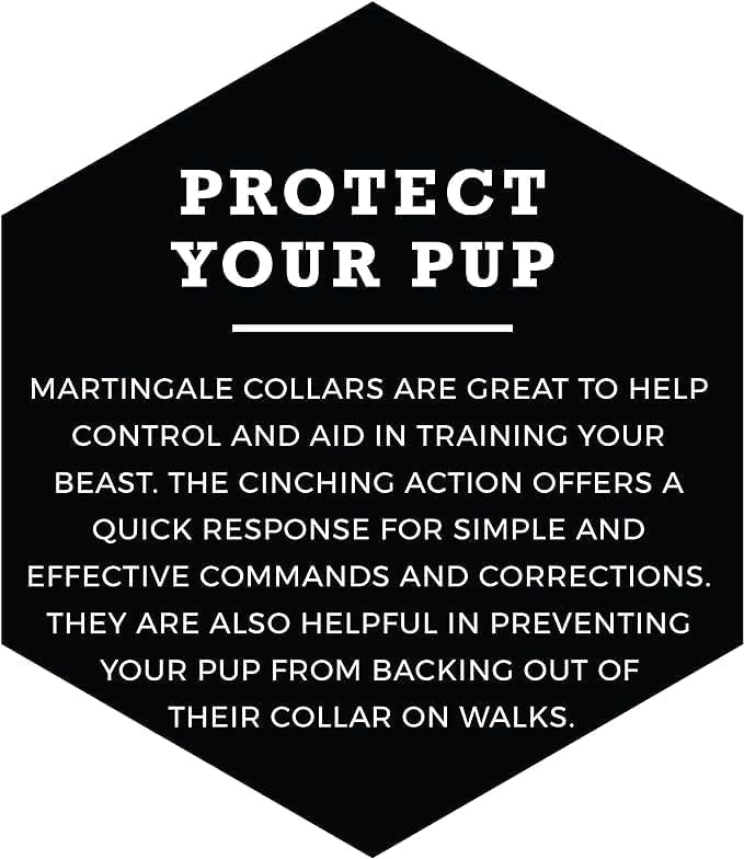 Wolfgang Heavy Duty Martingale Dog Collar with Quick Release Nylon Buckle for Walking & Training, MarbleSwirl Print, Large