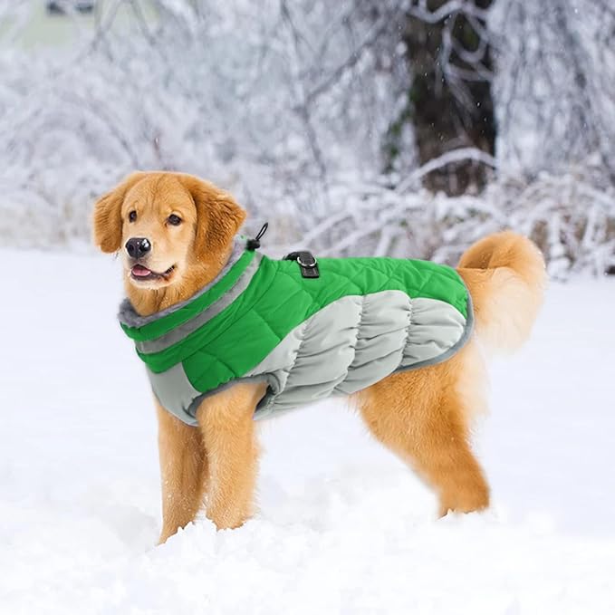 Lelepet Dog Winter Coat - Waterproof, Windproof, Reflective, Padded, Fleece, Turtleneck, Zippered Snow Jacket with Harness, Medium Size, Boston Terrier