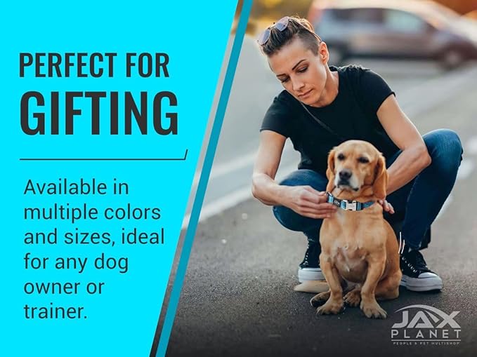 Orange Martingale Collar for Dogs - Heavy Duty Nylon Pet Collars for Escape-Free, No Pull Training & Walking with Alloy Metal Release Buckle & Reflective D Ring, One Time Adjustment, Safe & Secure, M