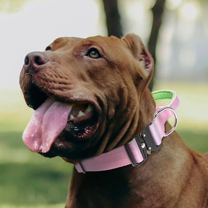 TSPRO Premium Dog Collars Tactical Dog Collar with Handle and Heavy Duty Quick-Release Metal Buckle Durable Thick and Adjustable for Medium to Large Dogs (Cyan Gradient L)