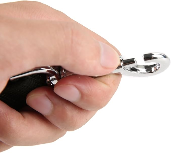 Strong Nylon Dog Leash with 2-Layer, 4 FT/ 6 Feet Long, 1 Inch Wide for Medium Large Dogs (1'' x 5 FT, Black)