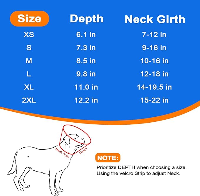 Dog Cone Collar with Soft Pad, Transparent Elizabeth Recovery Collar for Large, Medium, Small Dogs to Stop Licking, Pet Head Cone Alternative After Surgery, Neutering, Injury (M)