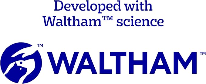 PEDIGREE DENTASTIX Dental Dog Treats for Large Dogs Fresh Flavor Dental Bones, 5.19 oz. 6 Treats (Pack of 7)