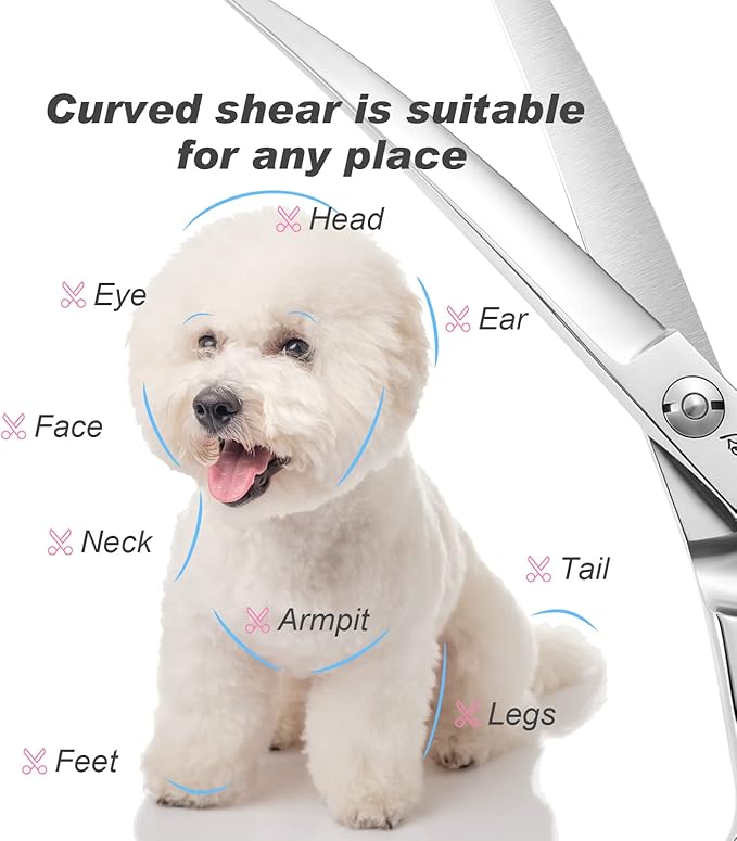 Dog Cat Scissors for Grooming, Pet Shears for Thick Coats and Matted Hair, Thinner Curved Straight Chunker Stainless Steel Shears (8.0" Curved Silver)
