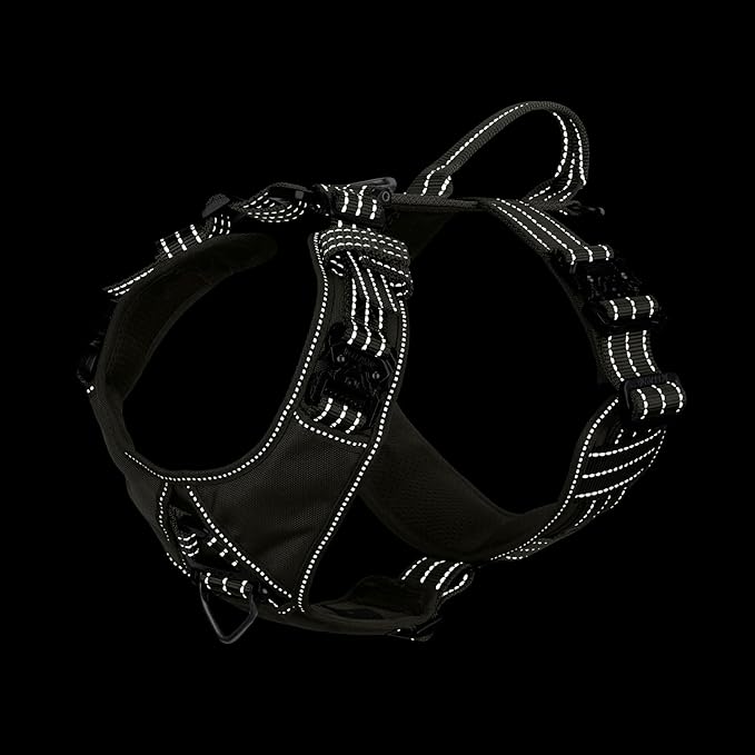 ICEFANG Dog Strap Harness with 4 x Metal Buckles,for Large Sized Dog,K9 Vest,Y-Shape Chest,Adjustable Pet Harness,No-Pull Front Leash Clip (Large (Pack of 1), Green)