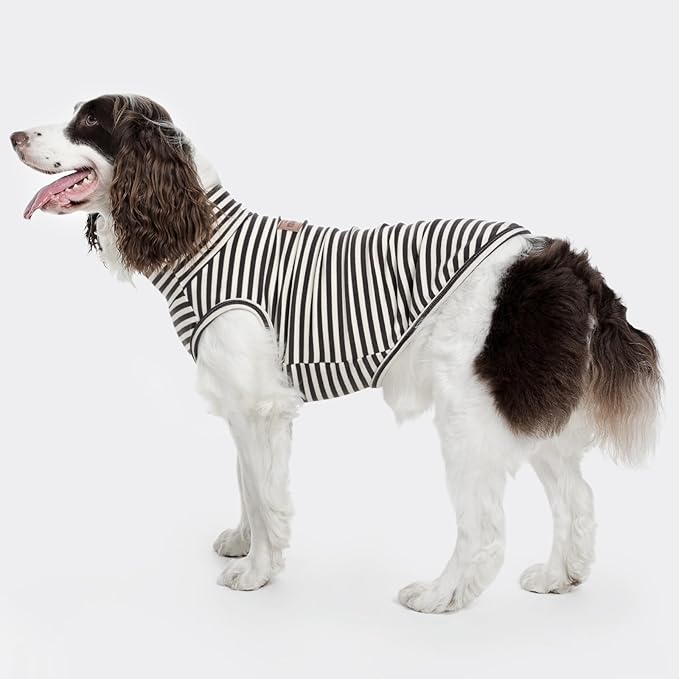 FUAMEY 2 Pack Dog Fleece Vest for Small Dogs,Maltese Chihuahua Stretchy Dog Sweatshirts Warm Dogs Pullover Winter Pet Sweaters with Leash Hole Puppy Turtleneck Sleeveless Grey S