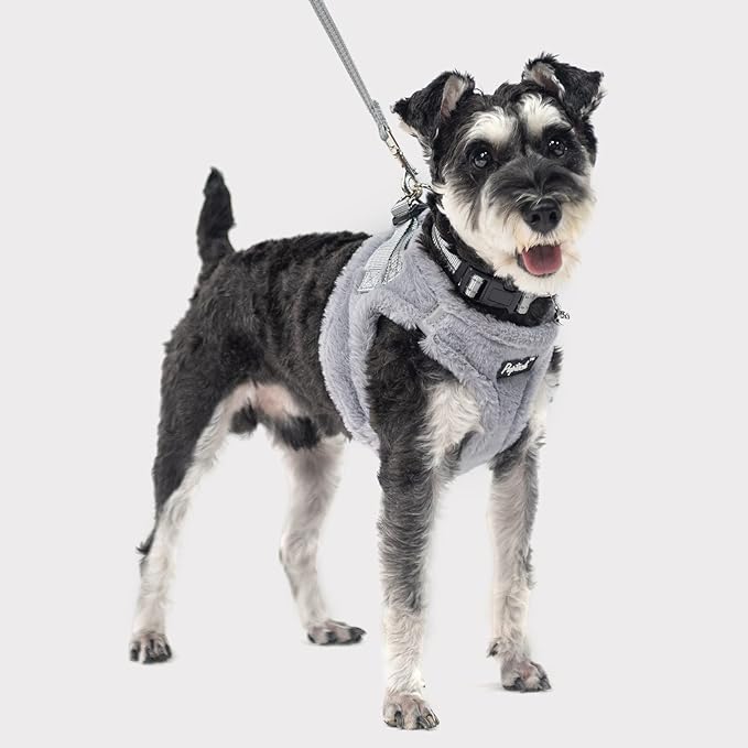 PUPTECK Adjustable Dog Harness Collar and Leash Set Step in No Pull Pet Harness for Small Medium Dogs Puppy and Cats Outdoor Walking Running, Soft Mesh Padded Reflective Vest Harnesses, Plush Grey S