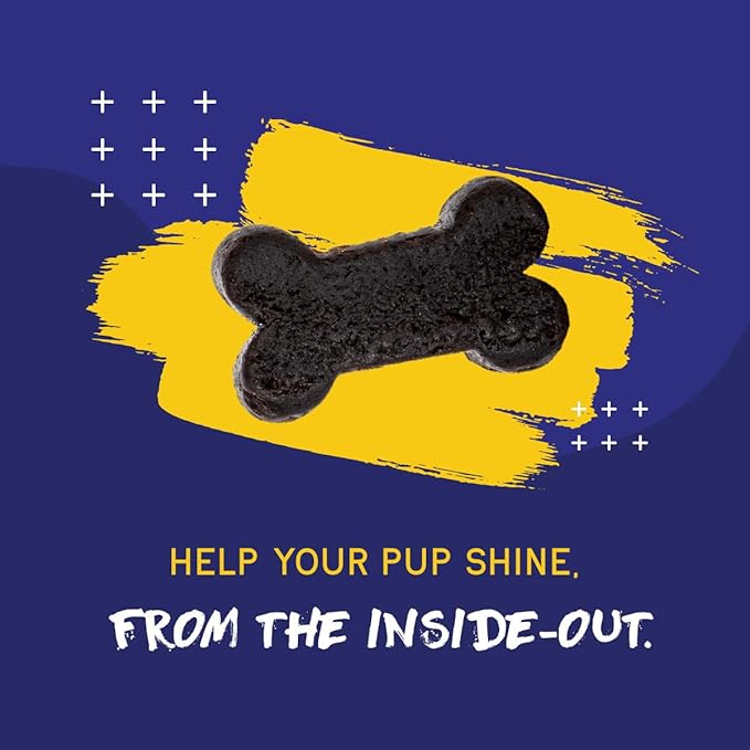 PupGrade Skin & Coat Soft Chew Supplement for Dogs – Supports Healthy Skin, Coat, and Immune Function - Rich in Natural Fish Oil, Omega Fatty Acids, and Vitamins – 60 Soft Chews