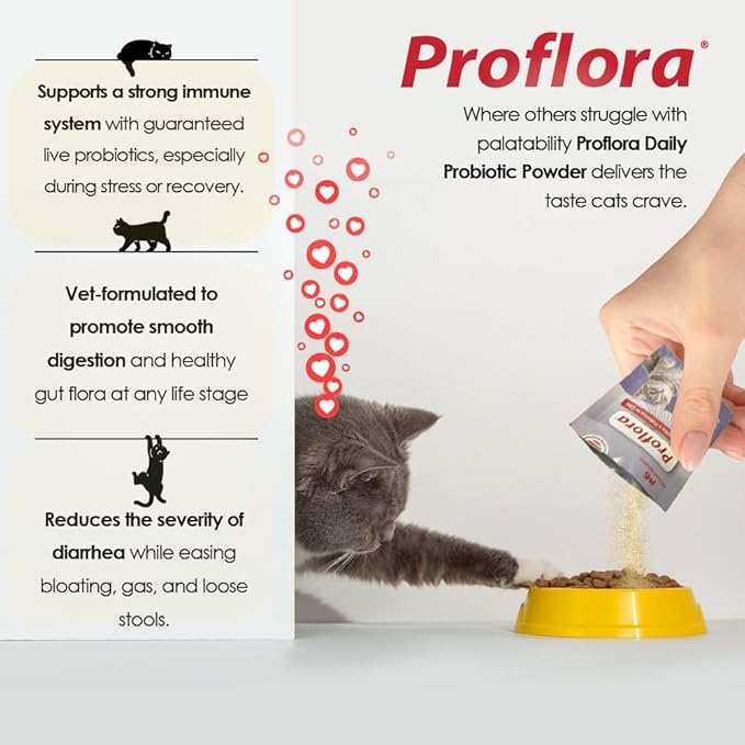 Probiotics for Cats-Complete Gut Health & Immune Support. Easy to Use Digestive Multi-Strain Probiotics. Easier Diet Transitions, Healthier Skin & Coat & Helps Treat Diarrhea. 30 Packets.