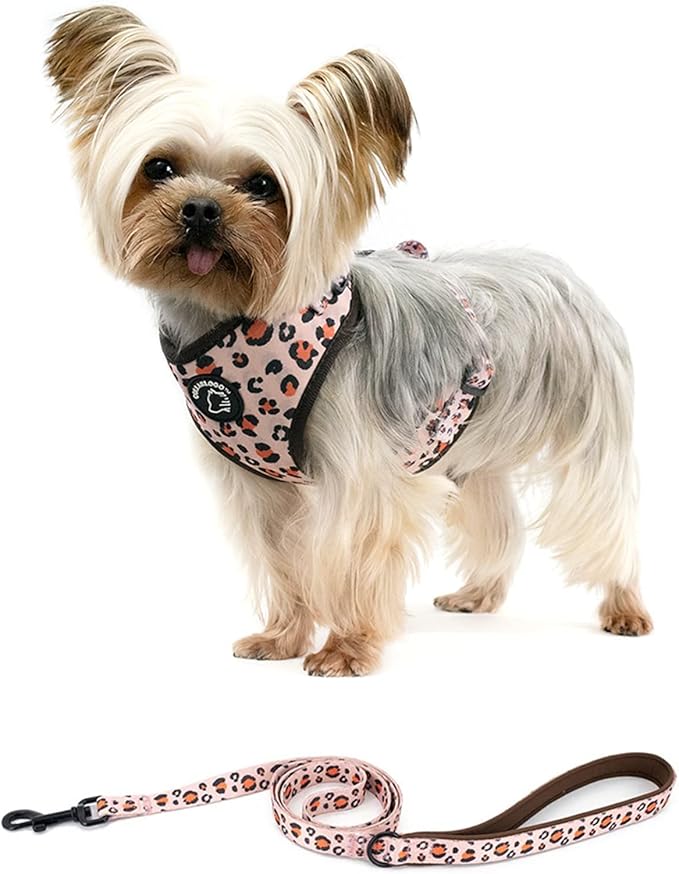 Dog Harness and Leash Set, Adjustable Dog Harness, Dog Leash, No Pull No Choke Puppy Harnesses for Walking Training for Small Medium Pet
