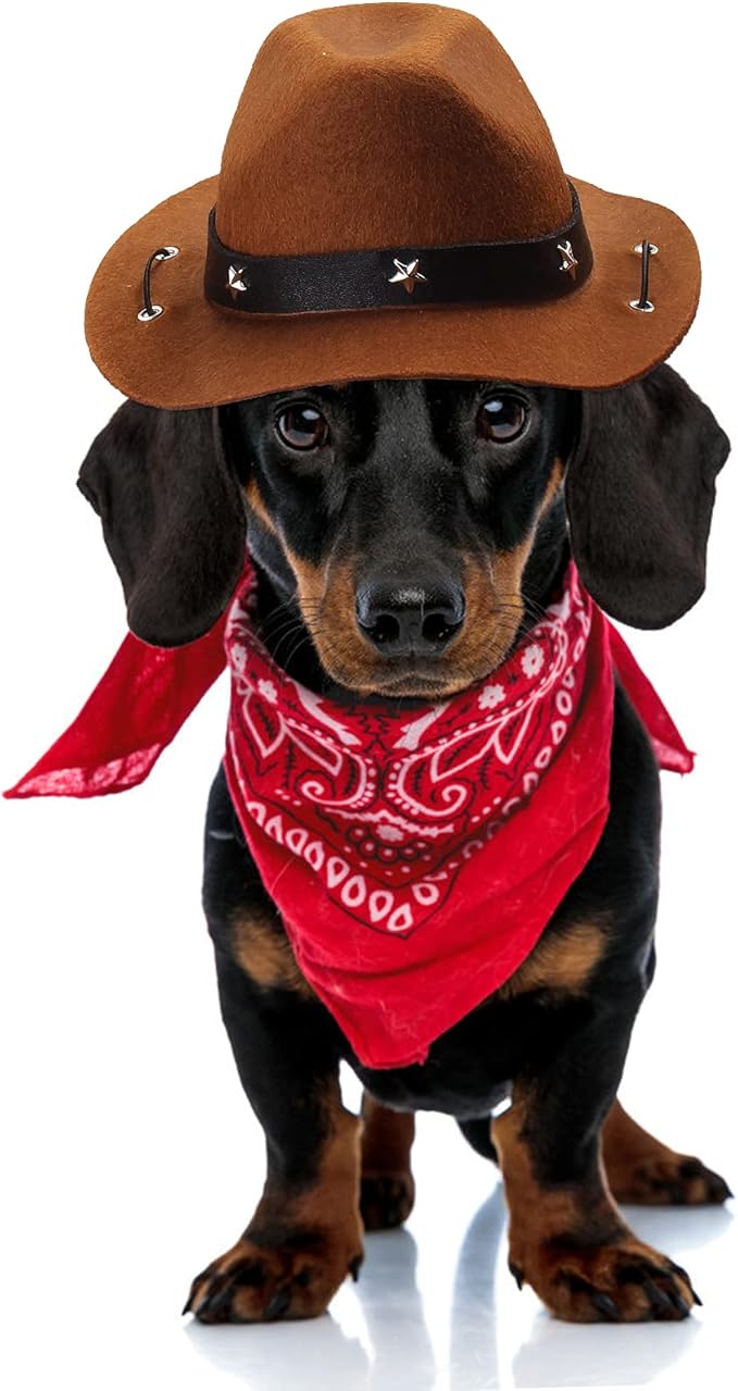 Yewong Pet Cowboy Costume Accessories - Dog Cat Pet Size Cowboy Hat and Bandana Scarf West Accessories for Puppy Kitten Party Festival and Daily Wearing Set of 2 (Coffee)