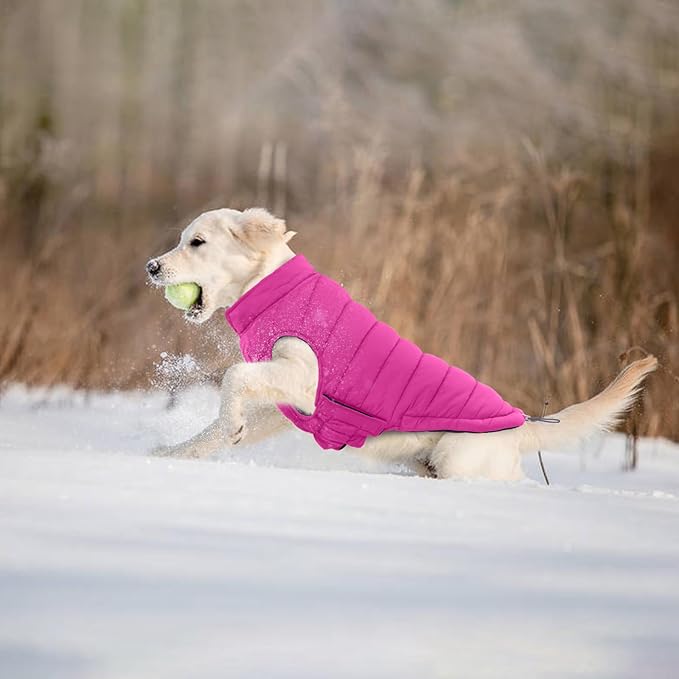 Lelepet Reversible Dog Coat Waterproof Dog Jacket Windproof Puffer Vest for Winter Warm Lightweight Coats for Medium Dogs Adjustbale Hook & Loop Pet Apparel with Leash Hole, French Bulldog, Rose Red L