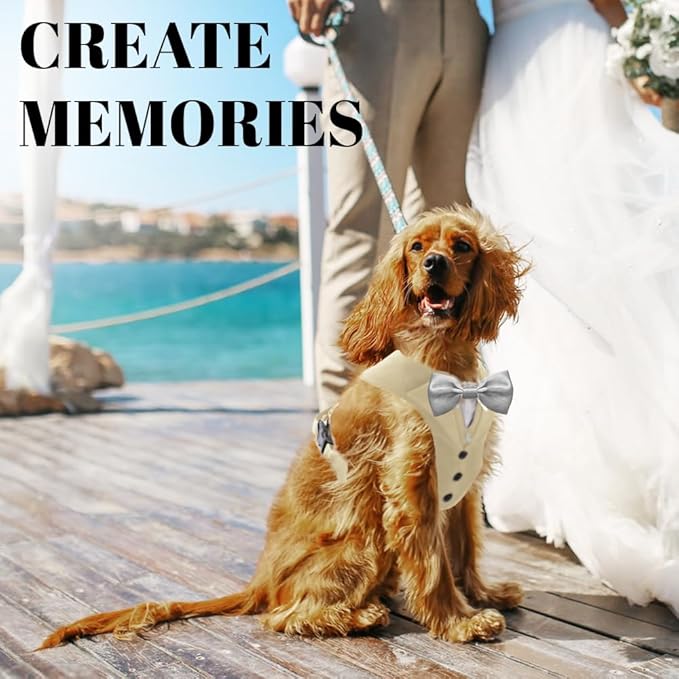 AVERYDAY Dog Tuxedo for Wedding Outfit, Dog Suit and Tie Costumes for Birthday, Halloween, Cosplay, Christmas Party, Pet Formal Wear with Bowtie, Tux for Small Dogs, Chihuahua, Bichon, Maltese, Cats