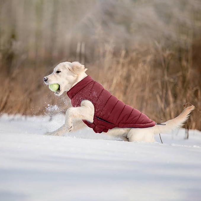 Lelepet Reversible Dog Coat Waterproof Dog Jacket Windproof Puffer Vest for Winter Warm Lightweight Coats for Large Dogs Adjustbale Hook & Loop Pet Apparel with Leash Hole, Boxer, Weimaraner, 2XL