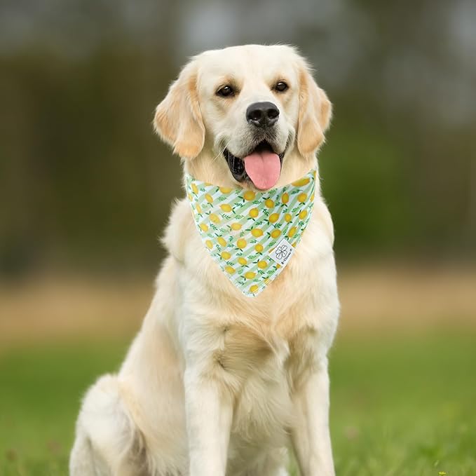 E-Clover Summer Lemon Dog Bandanas & Matching Scrunchie Set Green Stripe Dog Scarf Bibs Pet Bandana with Bow Tie for Medium Large Dogs Owner Mom