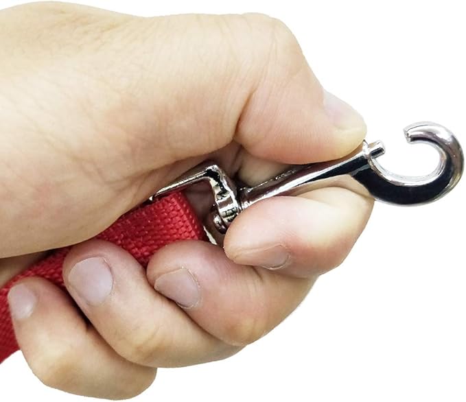 Nylon Training Dog Leash for Small Medium Large Dogs, 15ft 20ft 30ft 50ft Long Leash Dog/Puppy Lead for Obedience Recall Training, Camping (15ft, Red)