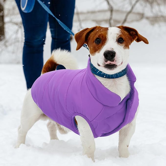 ASENKU Dog Winter Coat - Waterproof Windproof Dog Jacket, Warm Snowproof Doggie Puffer Vest for Cold Weather, Lightweight Snow Coats for Small Medium Large Dogs(Purple, XS)