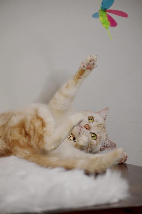 NECOICHI Crinkly Critters Cat Feather Teaser Interactive Wand Toy No.1 Selling Cat Toy in Japan