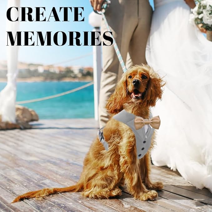 AVERYDAY Dog Tuxedo for Wedding Outfit, Dog Suit and Tie Costumes for Birthday, Halloween, Cosplay, Christmas Party, Pet Formal Wear with Bowtie, Tux for Small Dogs, Chihuahua, Bichon, Maltese, Cats