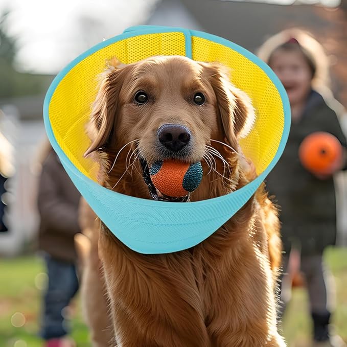 Inspack Soft Dog Cone Collar Alternative, E Cones for Medium Small Dogs/Cat to Stop Licking After Surgery, Neuter Recovery Ecollars of Shame Alternatives, Comfortable Paws Comfy Elizabethan Collars