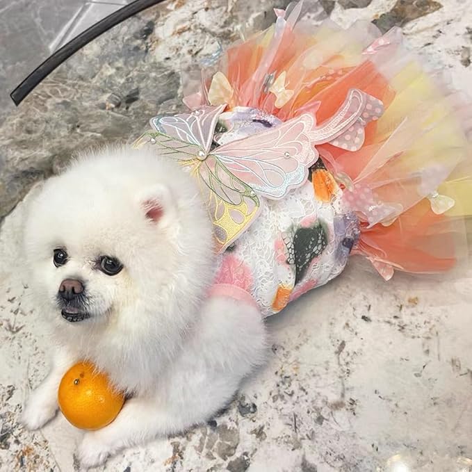 Rainbow Butterfly Dog Dresses for Small Dog Girl Puppy Lace Tutu Princess Dress Cat Outfit Pet Butterfly Costume for Kitten Chihuahua Yorkie Pomeranian (Pink, Large)