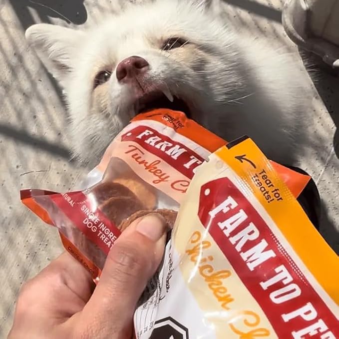 Farm To Pet - Puppy Training Treats Starter Pack Turkey 4oz + 2 Chicken & 2 Beef Snack Chips for Small Dogs - Value Pack Treats, 100% All Natural, Single Ingredient, Puppy Essentials Made in USA