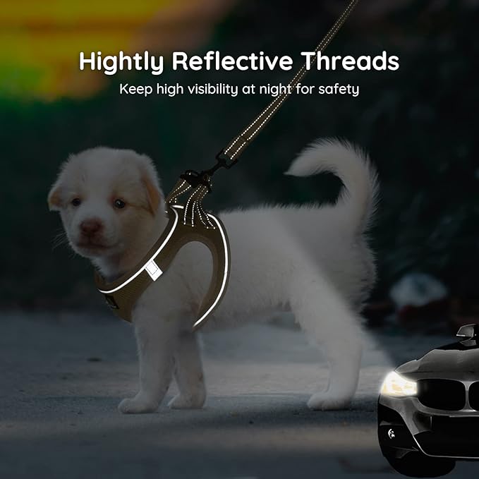 BELLA & PAL Step in Vest Harness for Small and Medium Dogs, No Pull Small Dog Harness with Leash Set, Comfortable Air Mesh Dog Vest Harness with Reflective Strip (Khaki, XS)