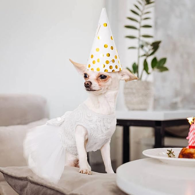 QBLEEV Dog Dress - White Lace Tutu Skirt for Small Dogs, Wedding Attire, Sweet Princess Dress with Bowknot, Puppy Bride Halloween Costume Summer Apparel Formal Clothes for Wedding Party Holiday, XS