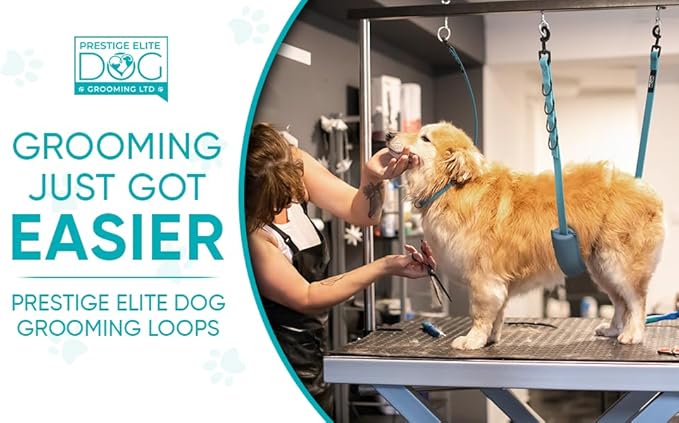 Prestige Elite - Set of 6 - Dog Groomers Helper Grooming Loops for Dogs Groomers - Adjustable Biothane Dog Grooming Loop, Belly Strap, Grooming Noose, Extension Strap & More - Dog Grooming Leash