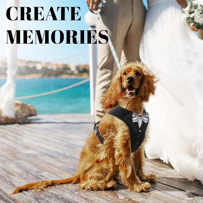 AVERYDAY Dog Tuxedo for Wedding Outfit, Dog Suit and Tie Costumes for Birthday, Halloween, Cosplay, Christmas Party, Pet Formal Wear with Bowtie, Tux for Small Dogs, Chihuahua, Bichon, Maltese, Cats