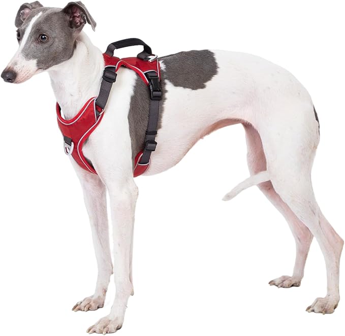 No Pull Dog Harness with Back Control Handle for Large Dogs, Reflective Vest, Adjustable and Padded, Easy Walk Front/Back Clips (Red, X-Large)