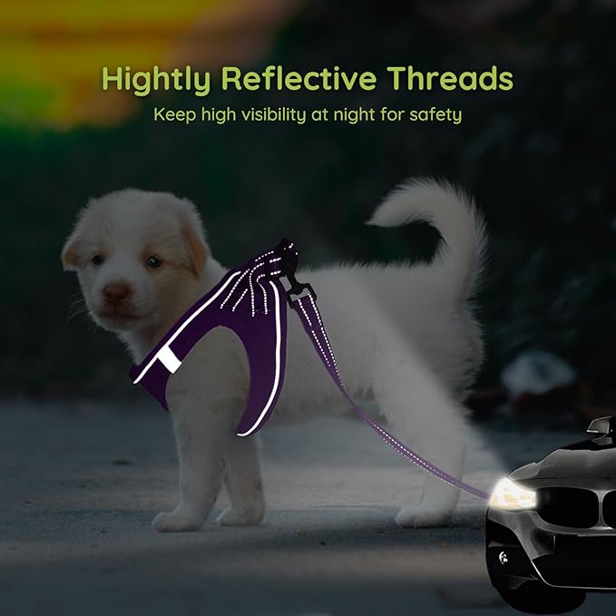 BELLA & PAL Step in Vest Harness for Small and Medium Dogs, No Pull Small Dog Harness with Leash Set, Comfortable Air Mesh Dog Vest Harness with Reflective Strip (Grape Purple, S)