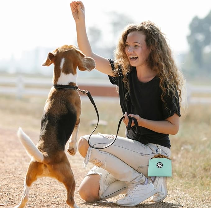 COOWONE Dog Treat Pouch Magnetic Closure Small Dog Training Treat Pouch Pocket Sized Small Dog Treat Pouch with Clip (mint green)