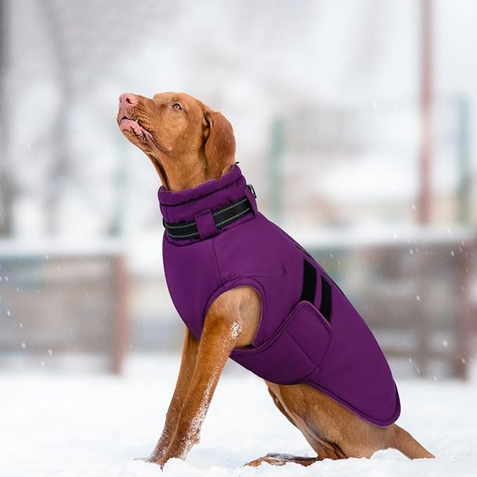 IECOii Dog Coats for Large Dogs Winter Waterproof Jacket with Collar Built in, XXL Dog Coat for Cold Weather Warm Snow Jacket with Thermal Fleece Lining, Reflective Pet Snowsuit Large, Purple - 2XL